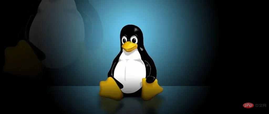 超实用的 Linux 高级命令，程序员一定要懂！