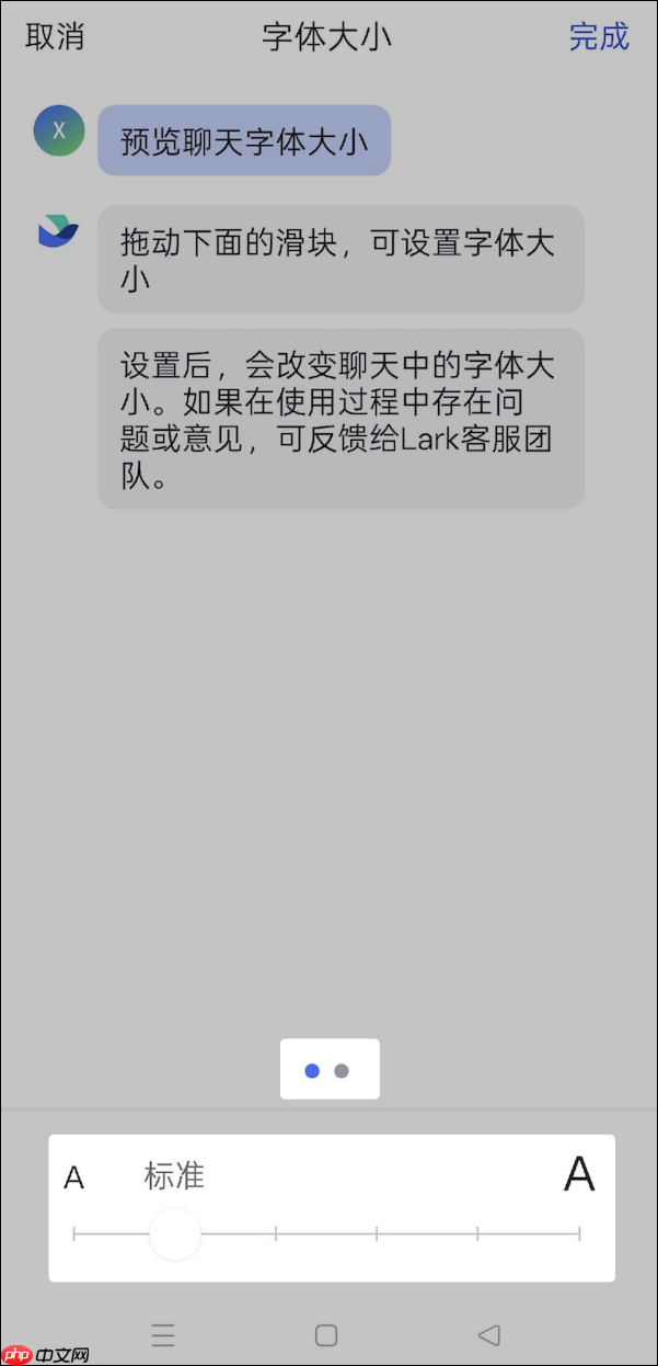 Lark字体大小怎么修改