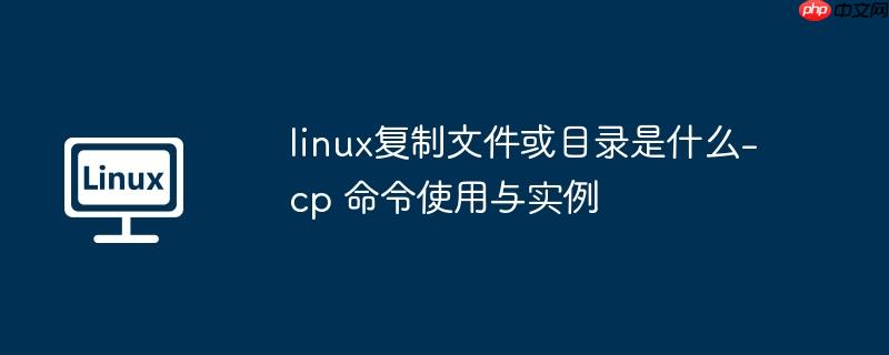 linux復制文件或目錄是什么-cp 命令使用與實例-小浪學習網