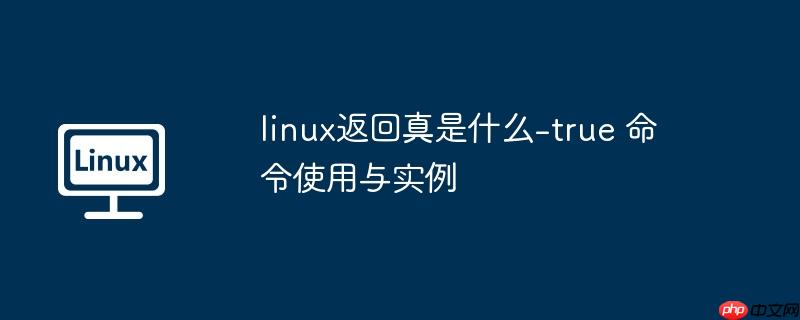 linux返回真是什么-true 命令使用与实例-小浪学习网
