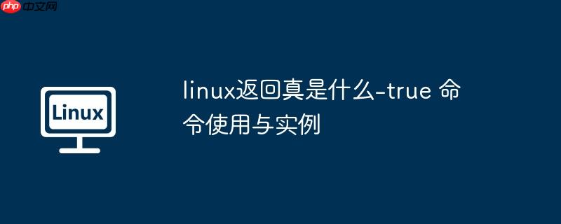 linux返回真是什么-true 命令使用与实例