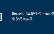 linux返回真是什么-true 命令使用与实例