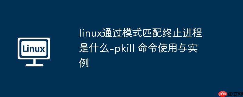 linux通过模式匹配终止进程是什么-pkill 命令使用与实例-小浪学习网