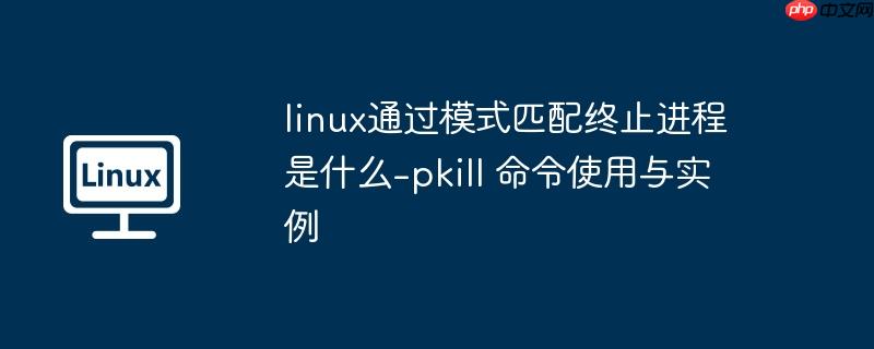 linux通过模式匹配终止进程是什么-pkill 命令使用与实例