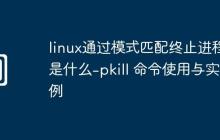 linux通过模式匹配终止进程是什么-pkill 命令使用与实例
