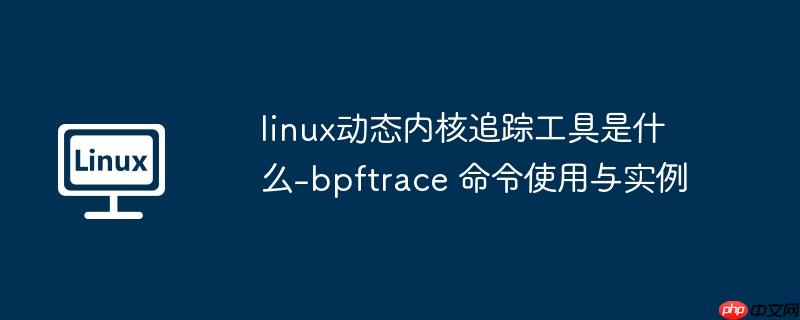 linux动态内核追踪工具是什么-bpftrace 命令使用与实例-小浪学习网