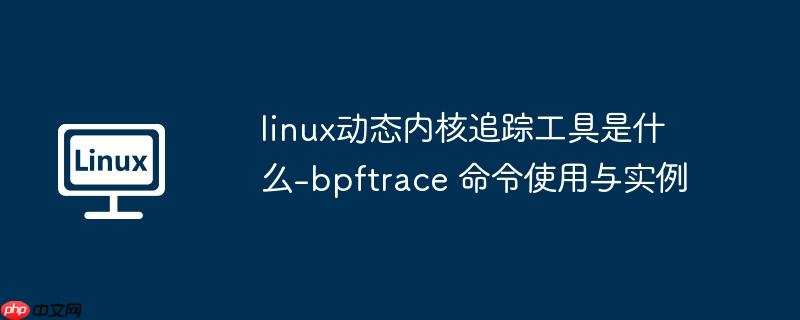 linux动态内核追踪工具是什么-bpftrace 命令使用与实例