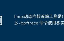 linux动态内核追踪工具是什么-bpftrace 命令使用与实例