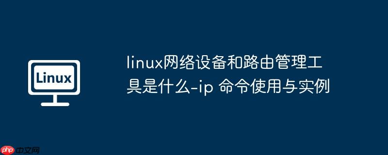 linux网络设备和路由管理工具是什么-ip 命令使用与实例-小浪学习网