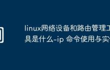 linux网络设备和路由管理工具是什么-ip 命令使用与实例