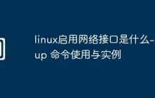 linux启用网络接口是什么-ifup 命令使用与实例