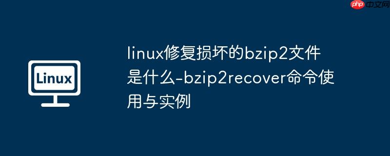 linux修复损坏的bzip2文件是什么-bzip2recover命令使用与实例