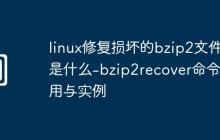 linux修复损坏的bzip2文件是什么-bzip2recover命令使用与实例