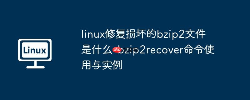 linux修复损坏的bzip2文件是什么-bzip2recover命令使用与实例-小浪学习网