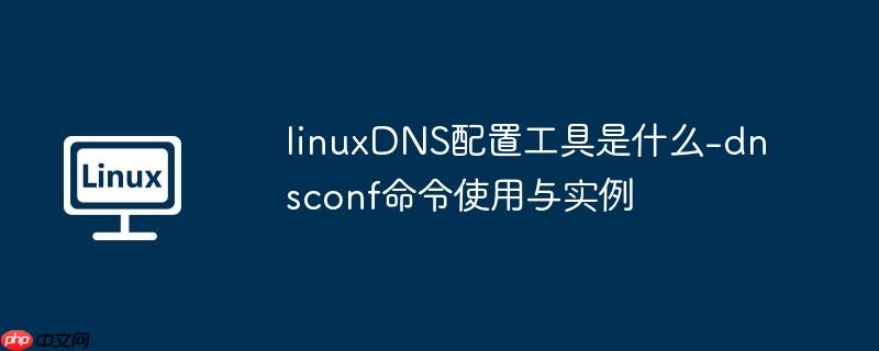 linuxDNS配置工具是什么-dnsconf命令使用与实例