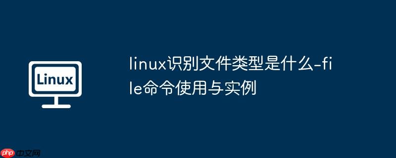 linux如何改变颜色 linux颜色区分文件类型