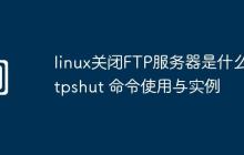 linux关闭FTP服务器是什么-ftpshut 命令使用与实例