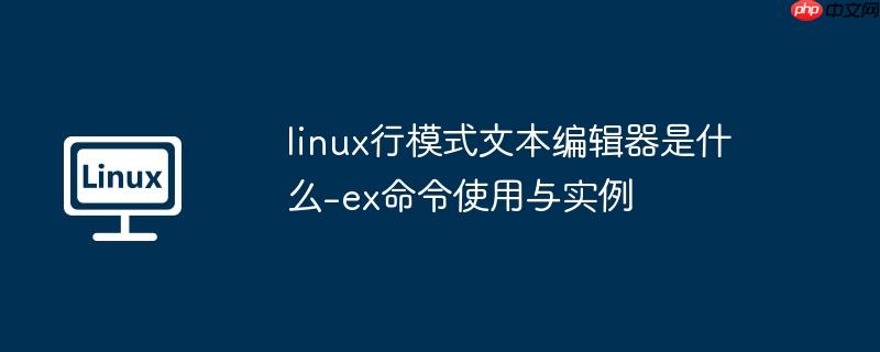 linux的文本编辑器如何使用 linux的文本编辑器怎么运行