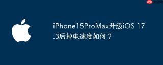 iPhone15ProMax升级iOS 17.3后掉电速度如何？