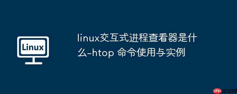 linux交互式进程查看器是什么-htop 命令使用与实例
