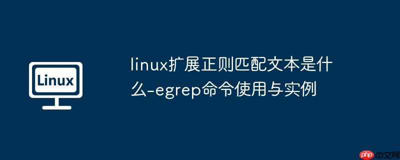 linux扩展正则匹配文本是什么-egrep命令使用与实例