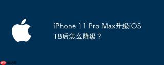 iPhone 11 Pro Max升级iOS 18后怎么降级？