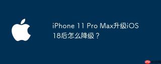 iphone 11 pro max升级ios 18后怎么降级？