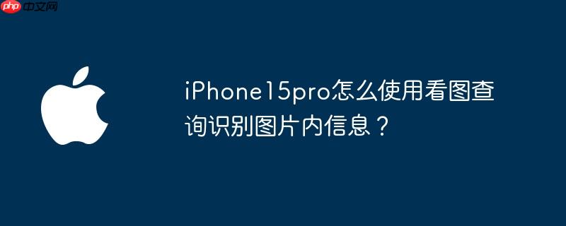 iPhone15pro怎么使用看图查询识别图片内信息？