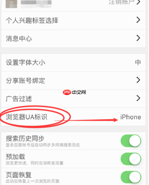 百度浏览器怎么设置电脑版 具体操作步骤