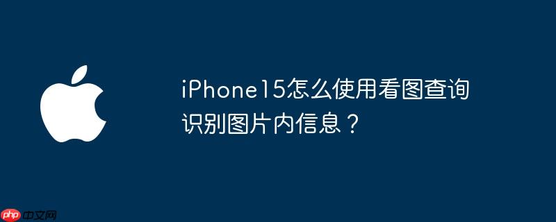 iPhone15怎么使用看图查询识别图片内信息？