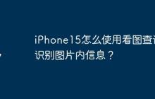 iPhone15怎么使用看圖查詢識別圖片內(nèi)信息？