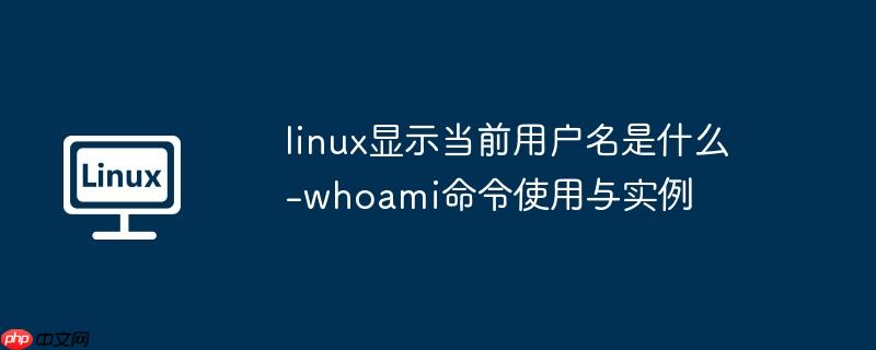 linux显示当前用户名是什么-whoami命令使用与实例