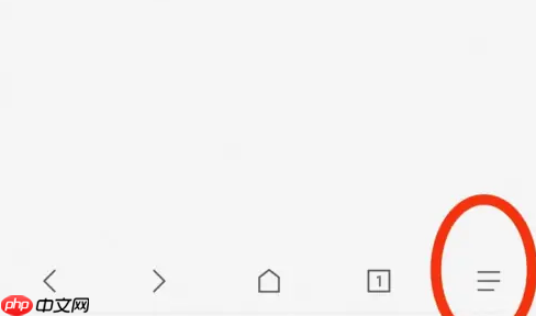 via浏览器javascript扩展网站 via浏览器javascript
