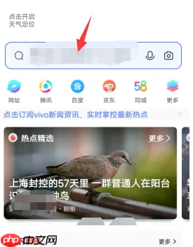 vivoβ鿴¼ vivo鿴¼̳