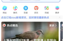 vivo浏览器如何查看浏览记录 vivo浏览器查看浏览记录教程