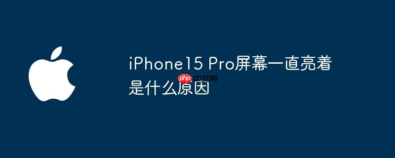 iPhone15 Pro屏幕一直亮着是什么原因