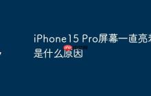 iPhone15 Pro屏幕一直亮着是什么原因