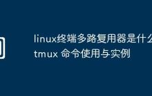 linux終端多路復(fù)用器是什么-tmux 命令使用與實(shí)例