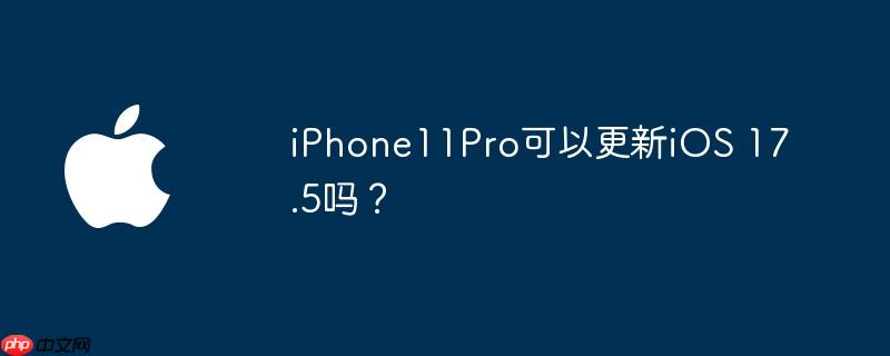 iPhone11Pro可以更新iOS 17.5吗？