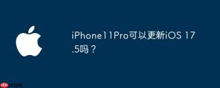 iPhone11Pro可以更新iOS 17.5吗？