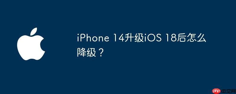 iphone 14升级ios 18后怎么降级？