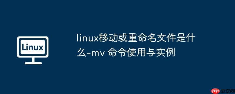 linux移动或重命名文件是什么-mv 命令使用与实例-小浪学习网
