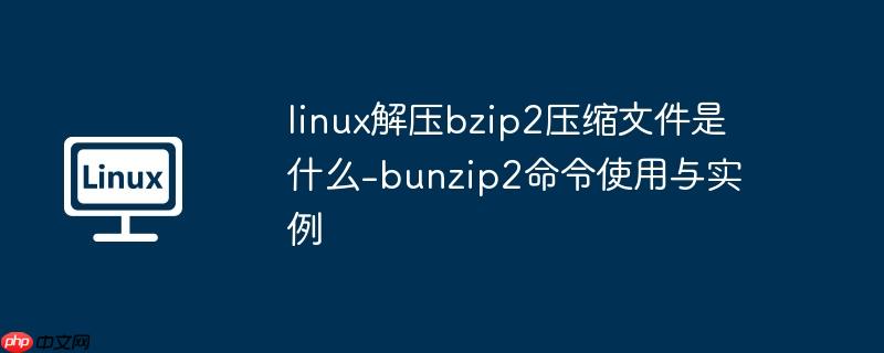 linux解压bzip2压缩文件是什么-bunzip2命令使用与实例-小浪学习网