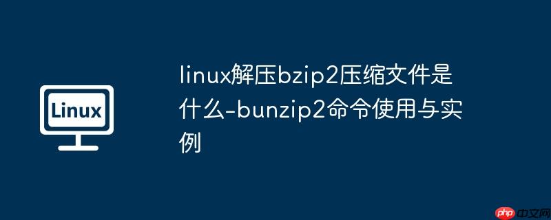 linux解压bzip2压缩文件是什么-bunzip2命令使用与实例