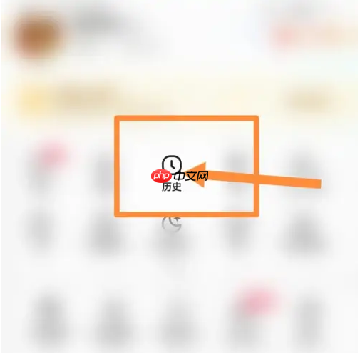vivo浏览器怎么恢复以前的浏览记录 vivo浏览器恢复历史记录方法