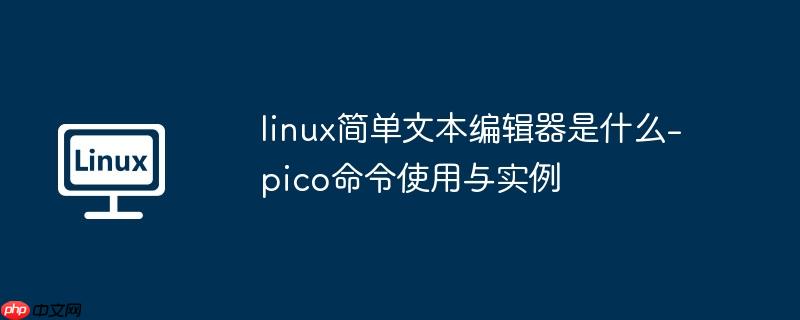 linux簡單文本編輯器是什么-pico命令使用與實例-小浪學習網