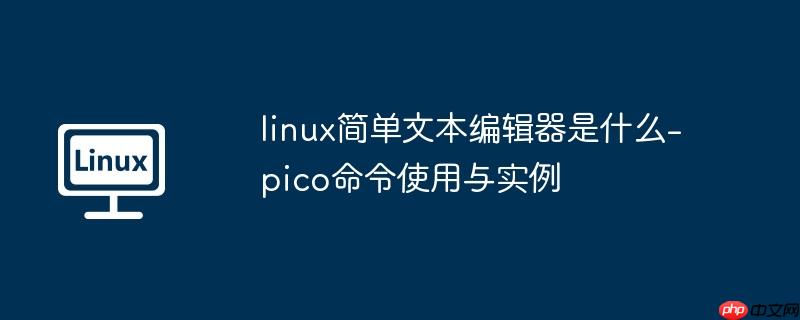linuxı༭ʲô-picoʹʵ