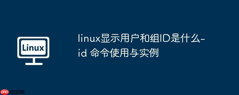 linux显示用户和组ID是什么-id 命令使用与实例-小浪学习网