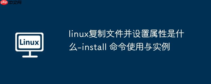 linux复制文件并设置属性是什么-install 命令使用与实例-小浪学习网