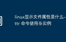linux顯示文件屬性是什么-lsattr 命令使用與實例
